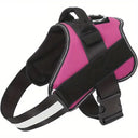 Paw&Nest™ Comfort-Control Harness