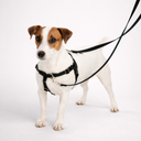 Paw&Nest™ RedirectPro Harness