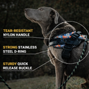 Paw&Nest™ Comfort-Control  Harness