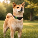 Paw & Nest™ Natural Flea & Tick Pendant