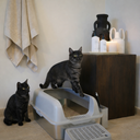 Paw&Nest™ Stainless Steel Litter Box
