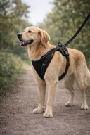 Paw&Nest™ - No-Pull Dog Harness