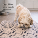 Paw & Nest™ SignalPad