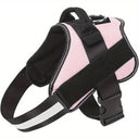 Paw&Nest™ Comfort-Control  Harness