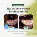 Paw & Nest™ Daily Dental Powder