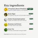 Paw & Nest™ Daily Dental Powder