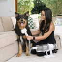 Paw&Nest™ 3-In-1 Vacuum Pet Brush