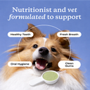 Paw & Nest™ Daily Dental Powder